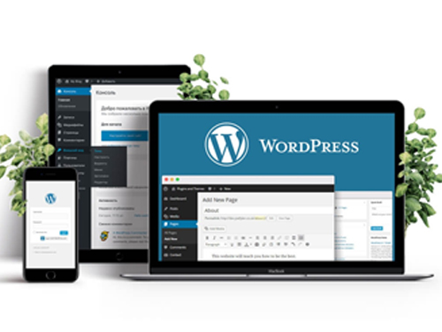 WordPress Development