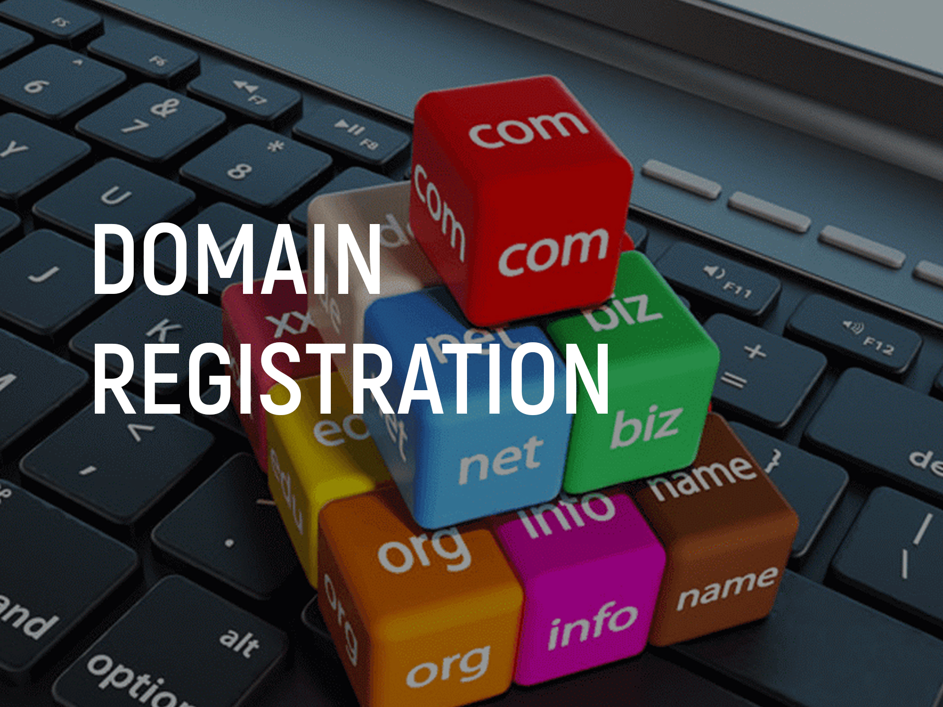 Domain Registration