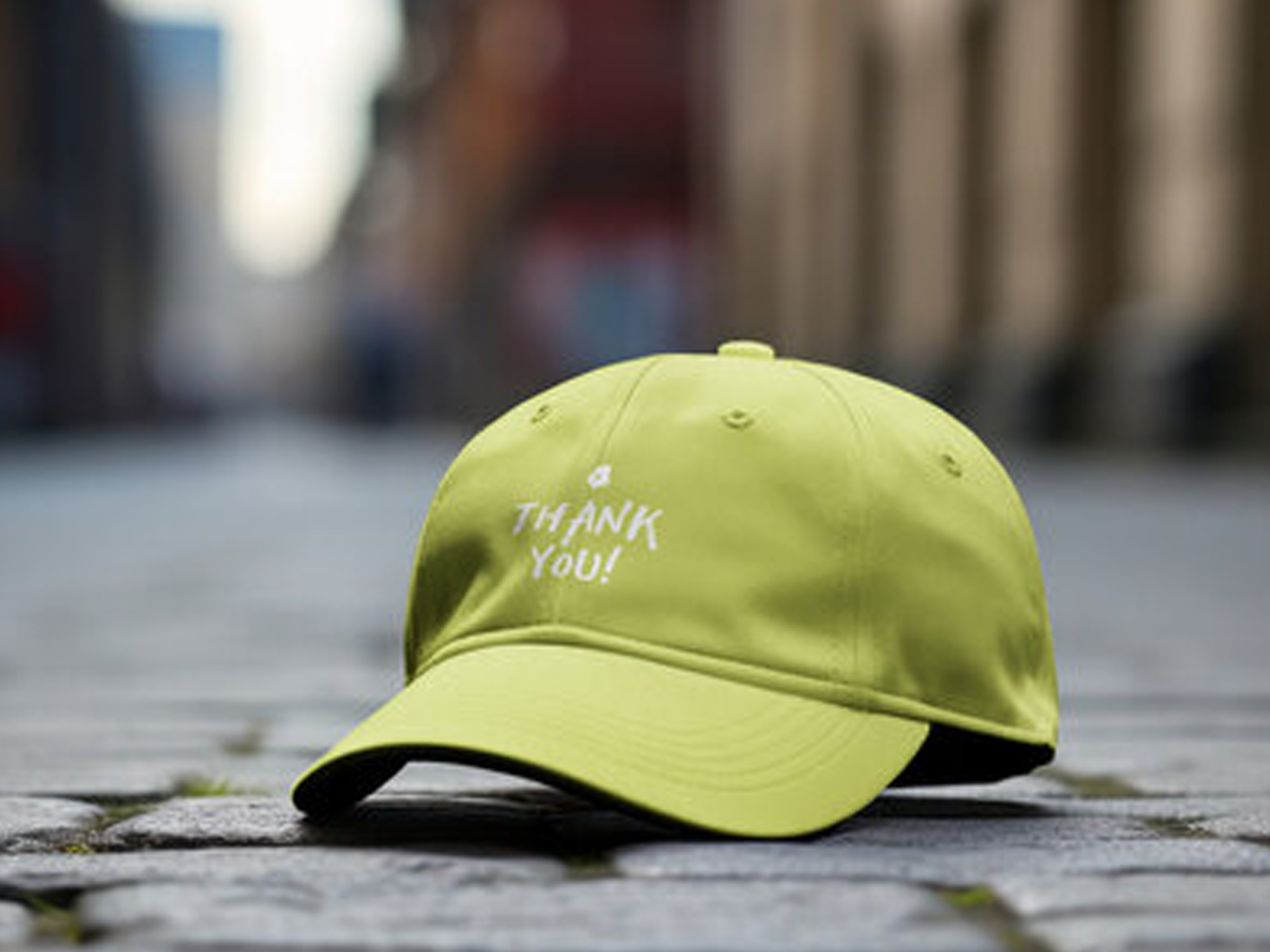 Apparel (T-shirts, hoodies, caps)